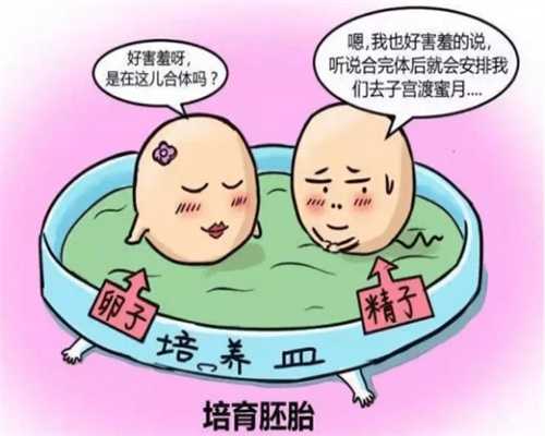 广州供卵试管大概花多少钱，做试管广州哪里最好,广州做试管婴儿大概多少钱