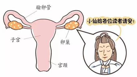 广州代孕生女儿，第三代试管婴儿能生男女在广州可以做吗？