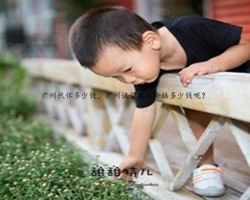 广州代怀多少钱，广州试管婴儿价格多少钱呢？