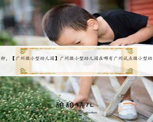 广州专业供卵，【广州微小型幼儿园】广州微小型幼儿园在哪有广州试点微小型