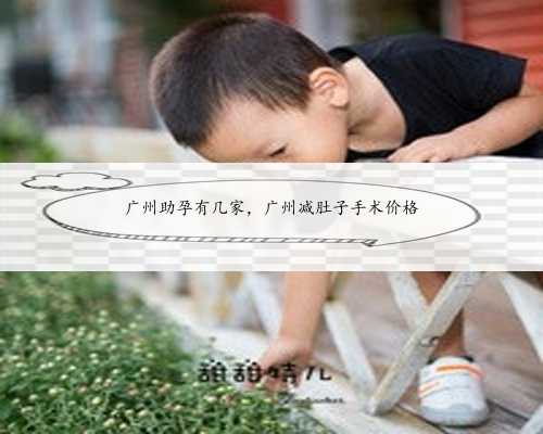 <b>广州助孕有几家，广州减肚子手术价格</b>