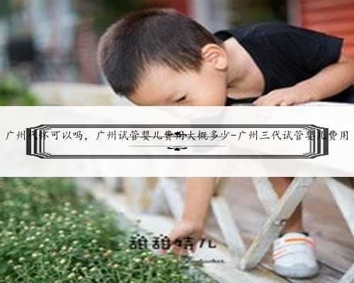 广州代怀可以吗，广州试管婴儿费用大概多少-广州三代试管婴儿费用