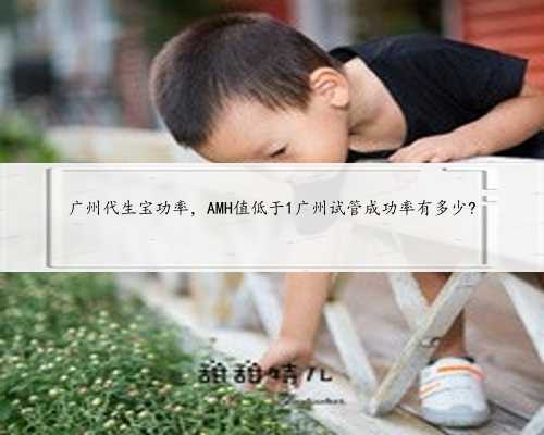 广州代生宝功率，AMH值低于1广州试管成功率有多少?