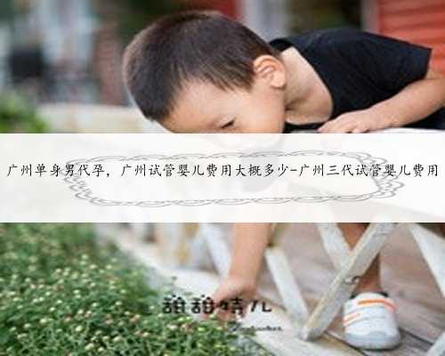 广州单身男代孕，广州试管婴儿费用大概多少-广州三代试管婴儿费用