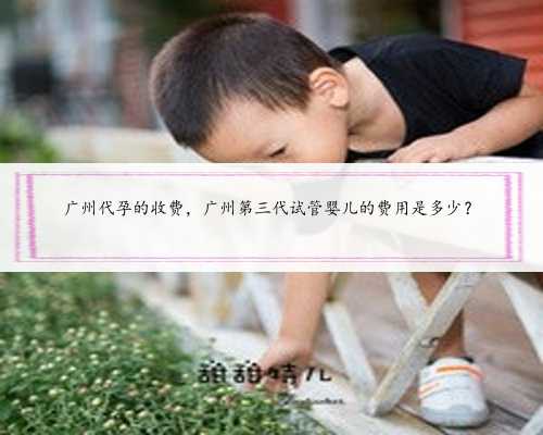 广州代孕的收费，广州第三代试管婴儿的费用是多少？