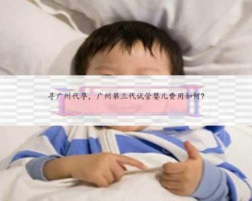 寻广州代孕，广州第三代试管婴儿费用如何?