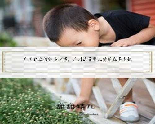 广州私立供卵多少钱，广州试管婴儿费用在多少钱