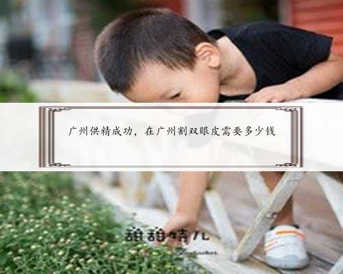 <b>广州供精成功，在广州割双眼皮需要多少钱</b>