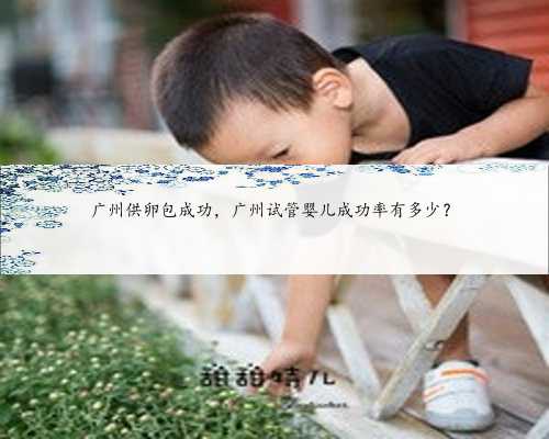 广州供卵包成功，广州试管婴儿成功率有多少？