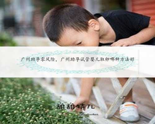 广州助孕零风险，广州助孕试管婴儿取卵哪种方法好