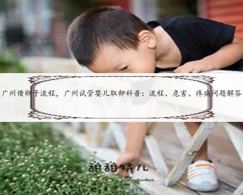 广州借卵子流程，广州试管婴儿取卵科普：流程、危害、疼痛问题解答