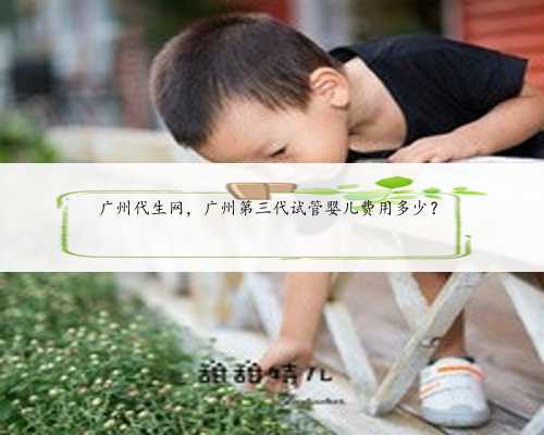 广州代生网，广州第三代试管婴儿费用多少？