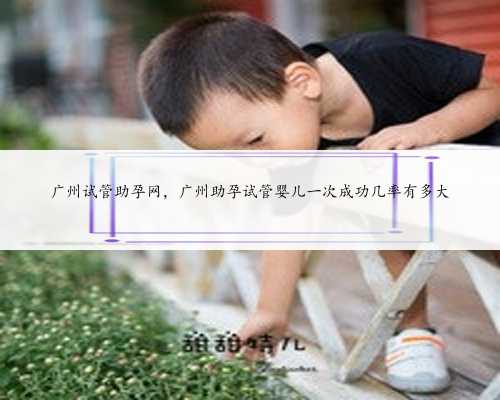 广州试管助孕网，广州助孕试管婴儿一次成功几率有多大
