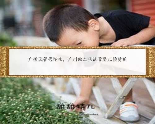 广州试管代怀生，广州做二代试管婴儿的费用
