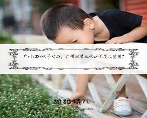 广州2023代孕动态，广州做第三代试管婴儿费用?