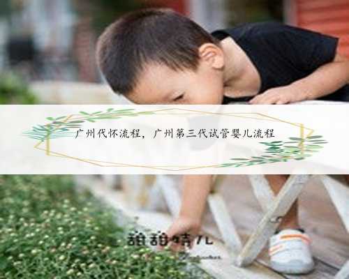 广州代怀流程，广州第三代试管婴儿流程