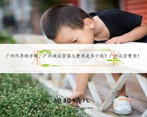 广州代孕的步骤，广州做试管婴儿费用是多少钱？广州试管费用！