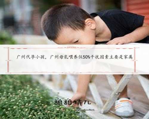 广州代孕小孩，广州母乳喂养仅50%干扰因素主要是家属