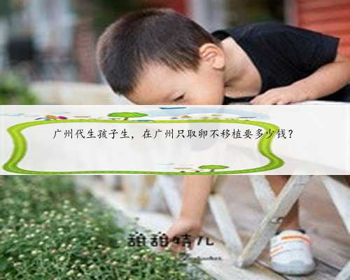 广州代生孩子生，在广州只取卵不移植要多少钱？