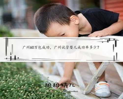 <b>广州60万包成功，广州试管婴儿成功率多少？</b>
