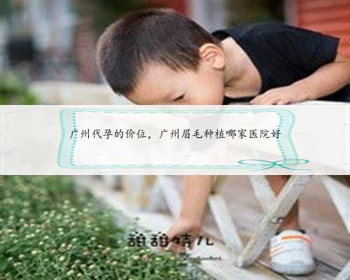 <b>广州代孕的价位，广州眉毛种植哪家医院好</b>