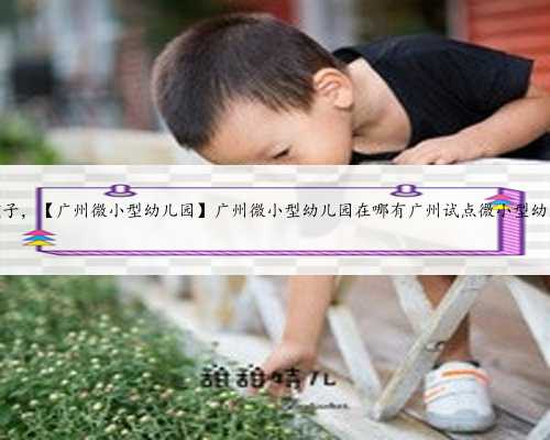 广州代生孩子，【广州微小型幼儿园】广州微小型幼儿园在哪有广州试点微小型