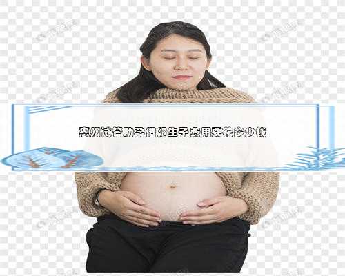 惠州试管助孕借卵生子费用要花多少钱