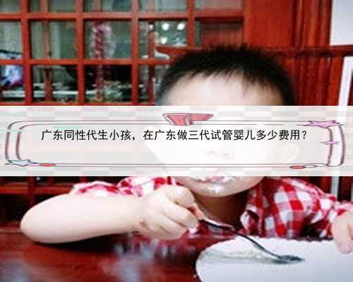 广东同性代生小孩，在广东做三代试管婴儿多少费用？