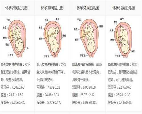 广州同济试管婴儿