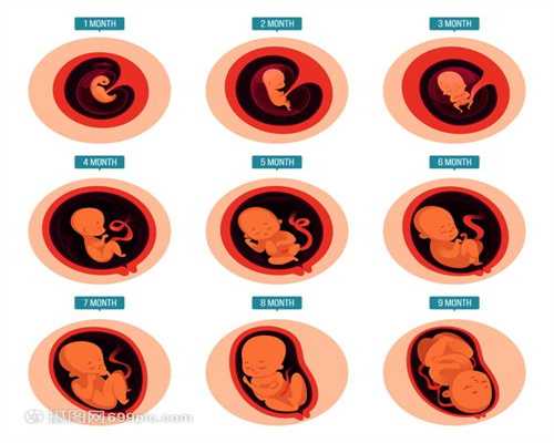 高鹰代孕中心：为什么怀孕七个月肚子感觉越来越长