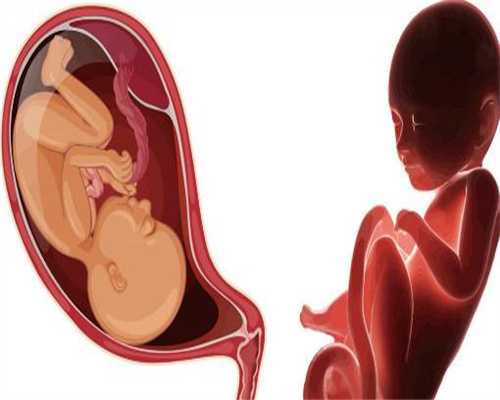 代孕机构：代孕期间同房姿势图代孕几个月可以