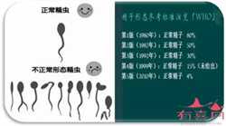 广州中国有供卵试管婴儿，排卵期不容易受孕吗？排卵期备孕哪些事不能做