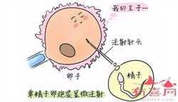 广州捐卵供卵~广州供卵试管的医院~，孕前男女必吃的3种滋补汤品