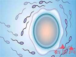 广州供卵包男孩~广州供卵助孕包成功~，子宫内膜厚0.97cm正常吗？