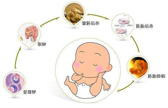 广州急需代生是什么意思,广州第三代试管婴儿需要多少费用？