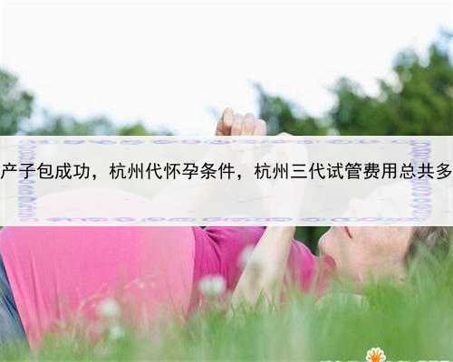 代孕产子包成功，杭州代怀孕条件，杭州三代试管费用总共多少？