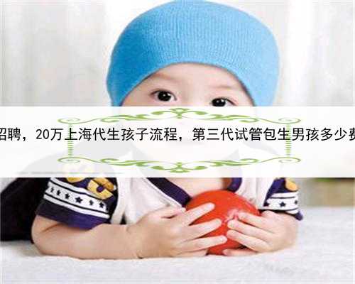 代孕高薪招聘，20万上海代生孩子流程，第三代试管包生男孩多少费用上海？