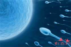 广州助孕一般多少钱，广州男性精子检查需要多少钱
