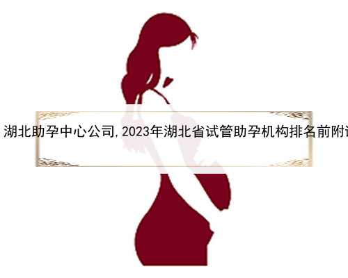 试管婴儿代孕的优势，湖北助孕中心公司,2023年湖北省试管助孕机构排名前附试