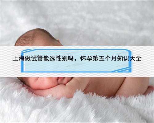 <b>上海做试管能选性别吗，怀孕第五个月知识大全</b>