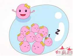 广州供卵试管公司哪些地方有，不排卵供卵成功率高吗