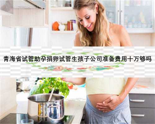 青海省试管助孕捐卵试管生孩子公司准备费用十万够吗